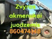 Zvyras juodzemis skalda maltas betonas - nuotraukos Nr. 5