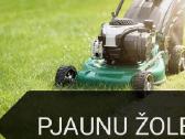 Žolės pjovimas, Gyvatvorių genėjimas - nuotraukos Nr. 18