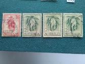 Australija 1964 m. - nuotraukos Nr. 2