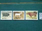 Korea .1967 m. - nuotraukos Nr. 2
