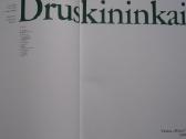 -Druskininkai albumas - nuotraukos Nr. 3
