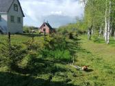 Žolės pjovimas, Gyvatvorių genėjimas - nuotraukos Nr. 19