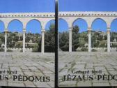 Jėzaus pėdomis albumas