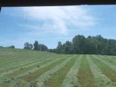 Parduodu šieną, šienainį - nuotraukos Nr. 5
