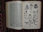 Senovinė Brockhaus enciklopedija 1894/17t - nuotraukos Nr. 5
