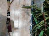 Didelis bambukinis šaudymo lankas vaikams (102 cm) - nuotraukos Nr. 7
