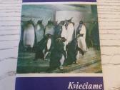 Jūrų muziejaus bukletas 1980 m. - nuotraukos Nr. 3