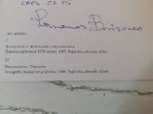 Rytprūsiai atvirutėse 2002 m. - nuotraukos Nr. 4