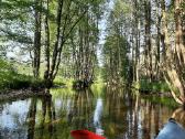 Sodybos nuoma prie Gaujos upės. Baidarių nuoma. - nuotraukos Nr. 17