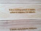 XXL lauko žaidimų nuoma - nuotraukos Nr. 2