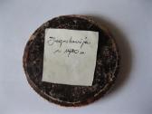 Didelis stalo medalis .zr. foto.gal molis. - nuotraukos Nr. 3
