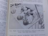 Mažų vaikų auklėjimas vaikų įstaigose - nuotraukos Nr. 8