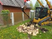 Kelmų ir iškilusių šaknų šalinimas - nuotraukos Nr. 4
