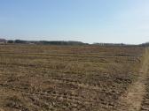10 ha PO trijų dienų - nuotraukos Nr. 6