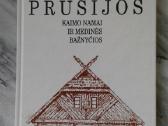 R. Detlefzenas .Rytų Prūsijos -architektura 1995m.