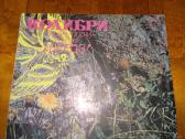 Vinilinės plokštelės, lietuvių, užsienio atlikėjų - nuotraukos Nr. 5