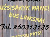 Mobilaus kubilo nuoma - nuotraukos Nr. 16
