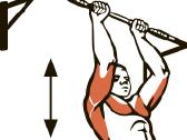 Skersinis, lygiagretės ir pilvo preso treniruoklis - nuotraukos Nr. 4