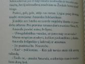 ,Erikas ir boksininkė avis" - nuotraukos Nr. 9