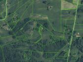Parduodamas 5,00ha žemės ūkio paskirties sklypas - nuotraukos Nr. 3
