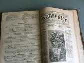 Wedrowiec, 1878 metu - nuotraukos Nr. 10