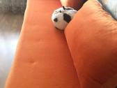 Magrės dvigulė sofa lova - nuotraukos Nr. 6
