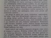 "dykuma"gustave Le Clezio Jean-marie 1993m. - nuotraukos Nr. 2