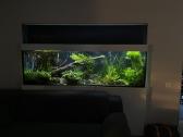 Akvariumai, spintelės, dangčiai pagal užsakymą - nuotraukos Nr. 6
