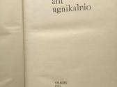Gyvenimas ant ugnikalnio - nuotraukos Nr. 2
