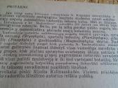 Aukštesniųjų augalų sistematika - nuotraukos Nr. 3