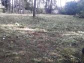Žolės pjovimas - nuotraukos Nr. 3