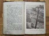 V. Janavičienė "Draugai iš girios" 1937 metai - nuotraukos Nr. 7
