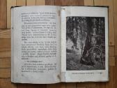 V. Janavičienė "Draugai iš girios" 1937 metai - nuotraukos Nr. 10