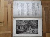V. Janavičienė "Draugai iš girios" 1937 metai - nuotraukos Nr. 11