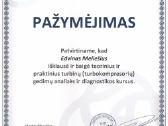 Turbinų remontas, pardavimas, dalys - nuotraukos Nr. 6