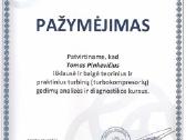 Turbinų remontas, pardavimas, dalys - nuotraukos Nr. 6