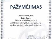 Turbinų remontas, pardavimas, dalys - nuotraukos Nr. 6