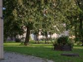 Šilti, jaukūs,šviesūs!laisvi nuo 09.27 OS dienos - nuotraukos Nr. 21