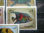 Juros fauna Fudzeira svarus albb104 - nuotraukos Nr. 3