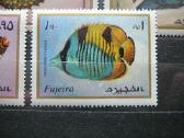 Juros fauna Fudzeira svarus albb104 - nuotraukos Nr. 4