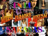 Fonogramos,karaoke,minusai,midi,styliai klavišams,