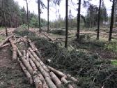 Miško - Krūmu pjovėjai - nuotraukos Nr. 2