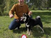 Shiba inu patinas kergimui. - nuotraukos Nr. 5