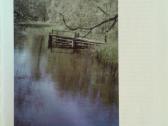 E.gorys Lietuvos ir Karaliaučiaus kraštas 1996 m - nuotraukos Nr. 8