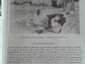 W.jantzen Nuotraukos iš Silezijos 1956 m. - nuotraukos Nr. 7