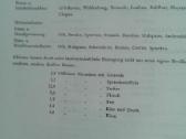 W.jantzen Nuotraukos iš Silezijos 1956 m. - nuotraukos Nr. 10