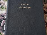 V. Sezemanas Raštai Gnoseologija