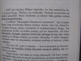 Kurtas Vonegutas Motina Naktis - nuotraukos Nr. 6