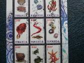 Juros fauna antsp. s581np