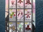 Orchidejos Geles antsp. s614np